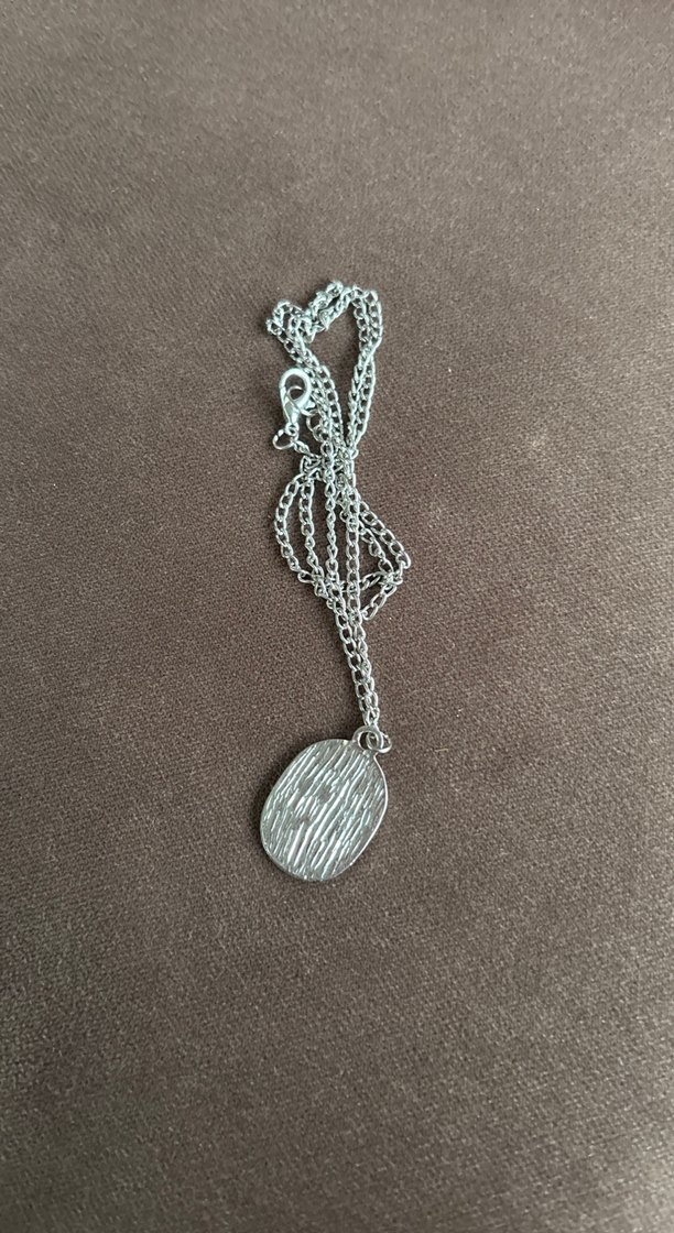 Gri S Harfli Uzun Zincirli Kadın Kolye - Görsel 2