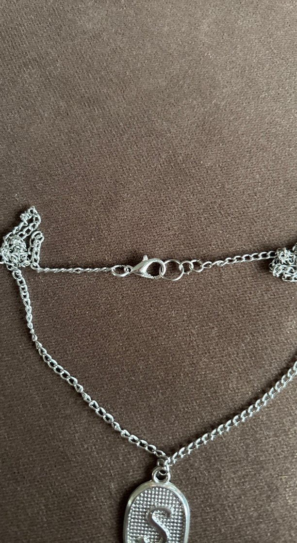 Gri S Harfli Uzun Zincirli Kadın Kolye - Görsel 4