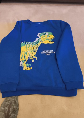 Erkek Çocuk Renkli Dinozor Baskılı Sweatshirt - Görsel 2