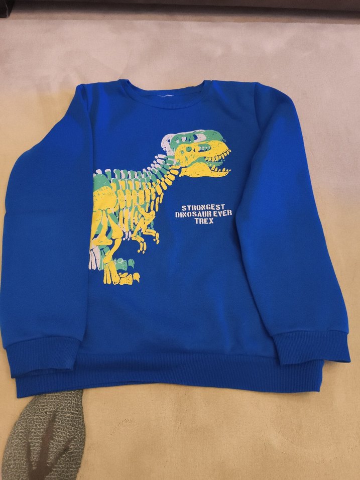Erkek Çocuk Renkli Dinozor Baskılı Sweatshirt - Görsel 2
