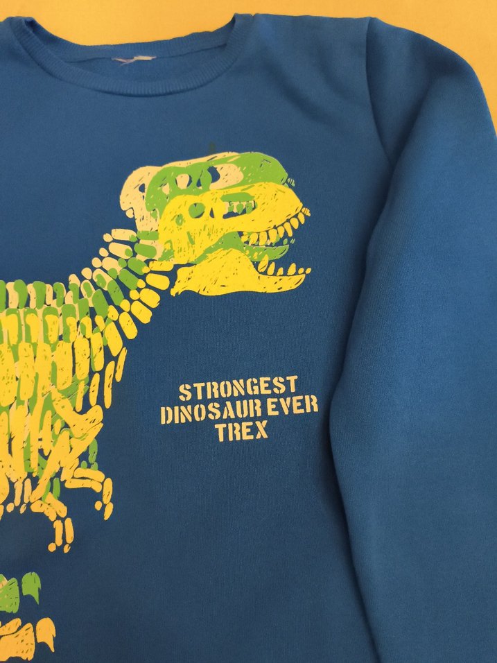 Erkek Çocuk Renkli Dinozor Baskılı Sweatshirt - Görsel 3