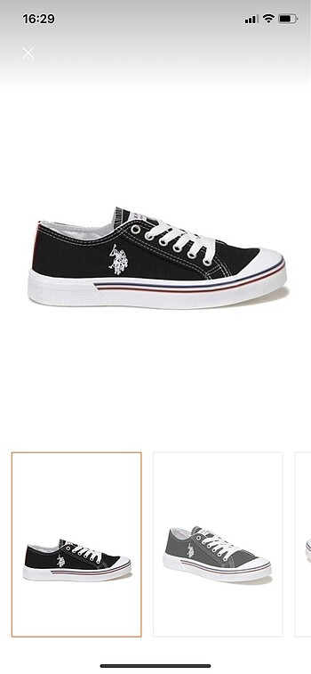 Us Polo converse