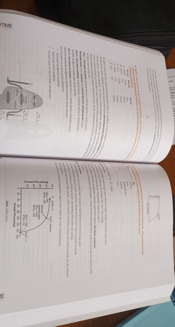 DUSTIME Infodus Fizyoloji Soru Bankası - Görsel 4