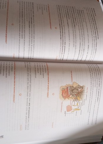 Infodus DUS TIME Anatomi Soru Bankası - Görsel 3