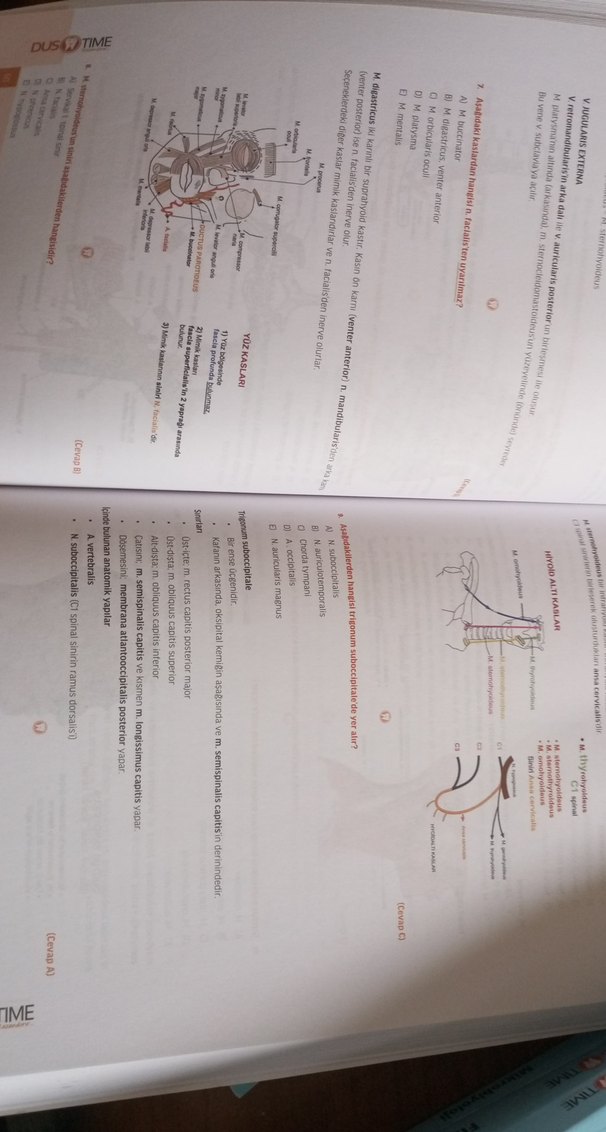 Infodus DUS TIME Anatomi Soru Bankası - Görsel 2