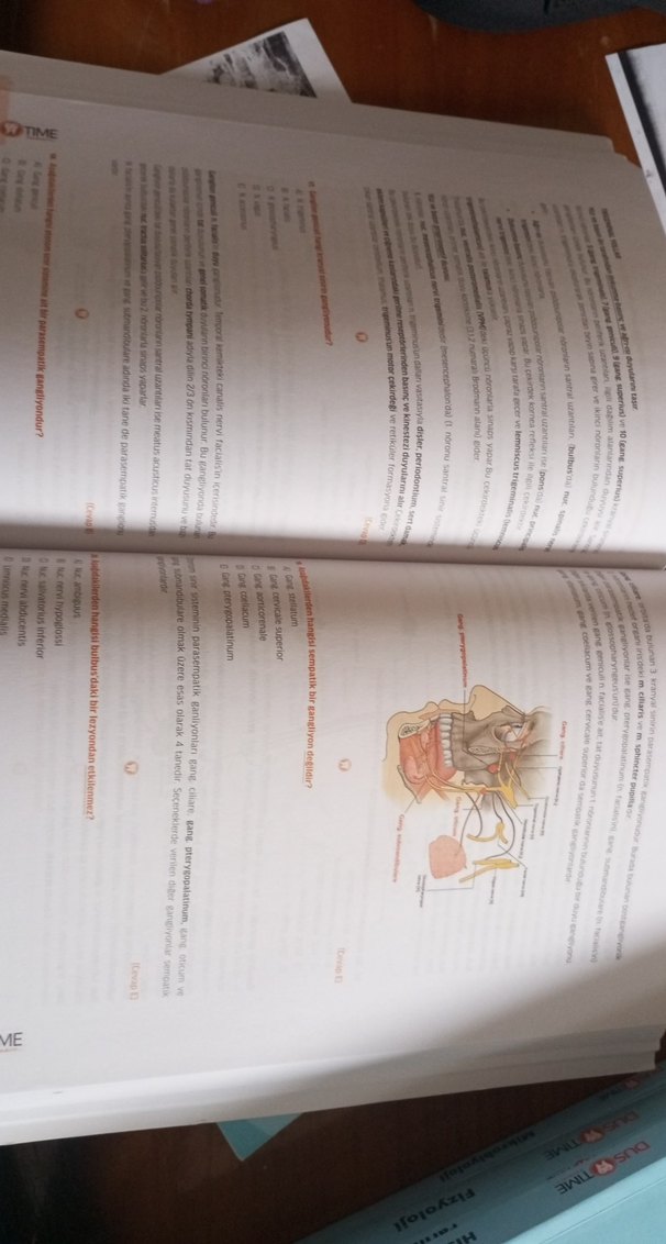 Infodus DUS TIME Anatomi Soru Bankası - Görsel 3