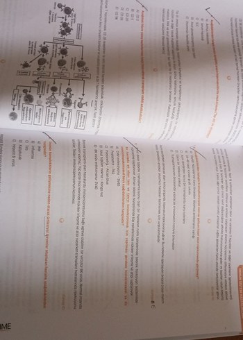 Infodus Patoloji Soru Bankası - Görsel 3