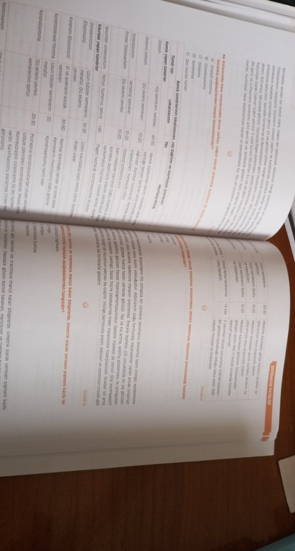 Infodus Patoloji Soru Bankası - Görsel 2