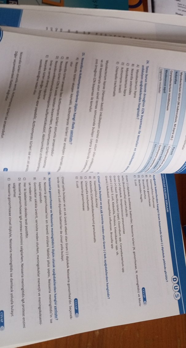 Tıbbi Mikrobiyoloji Çalışma Soruları Kitabı - Görsel 3