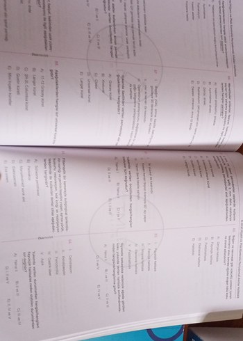 DUS Periodontoloji Soru Bankası Tamamı Çözümlü - Görsel 2