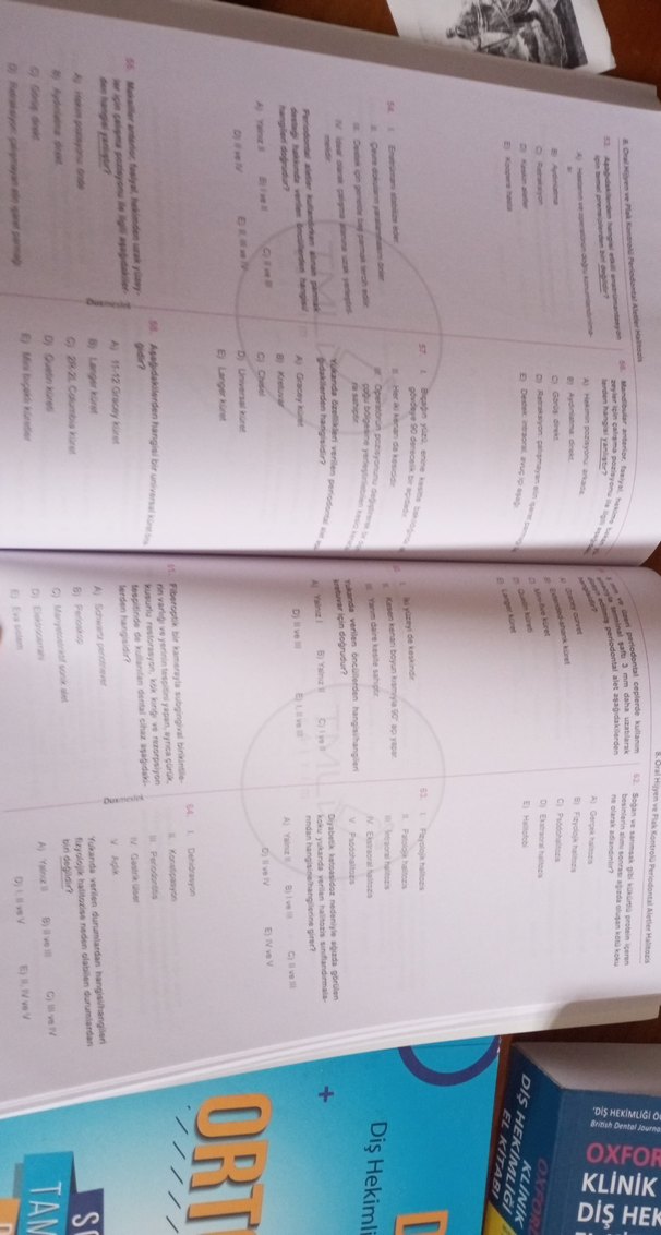 DUS Periodontoloji Soru Bankası Tamamı Çözümlü - Görsel 2