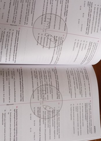 DUS Ortodonti Soru Bankası Tamamı Çözümlü - Görsel 3