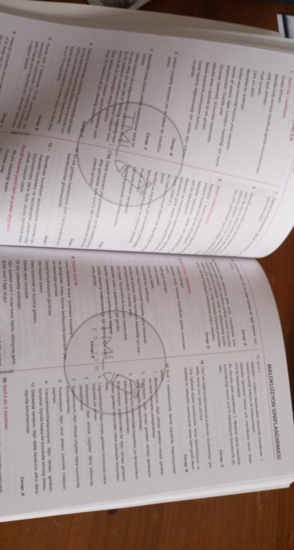 DUS Ortodonti Soru Bankası Tamamı Çözümlü - Görsel 2