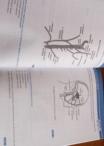 Anatomi Çalışma Soruları Kitabı - Görsel 2