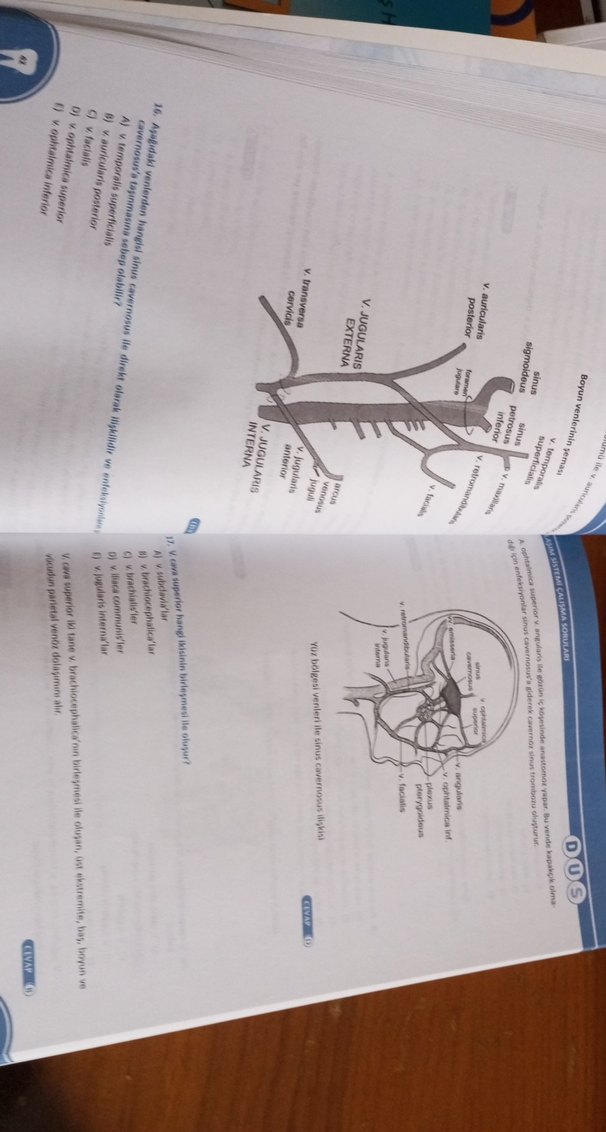 Anatomi Çalışma Soruları Kitabı - Görsel 2