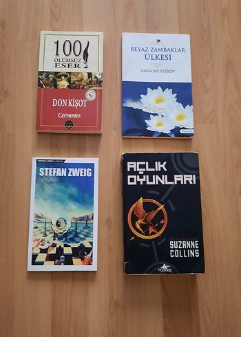Çeşitli Klasik ve Modern Kitaplar Seti