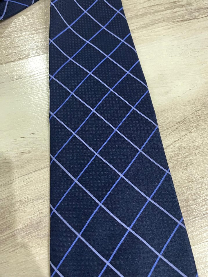 Lacivert Ekose Erkek Kravat - Görsel 2