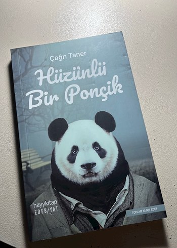 Hüzünlü Bir Ponçik - Çağrı Taner