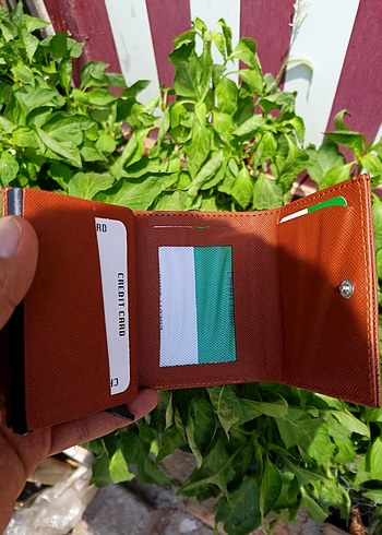 Lacoste Lacoste Kahverengi Minimalist Erkek Cüzdan