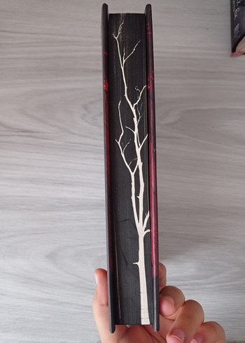 17 Numara Katliam - Fatma Samata - Görsel 3