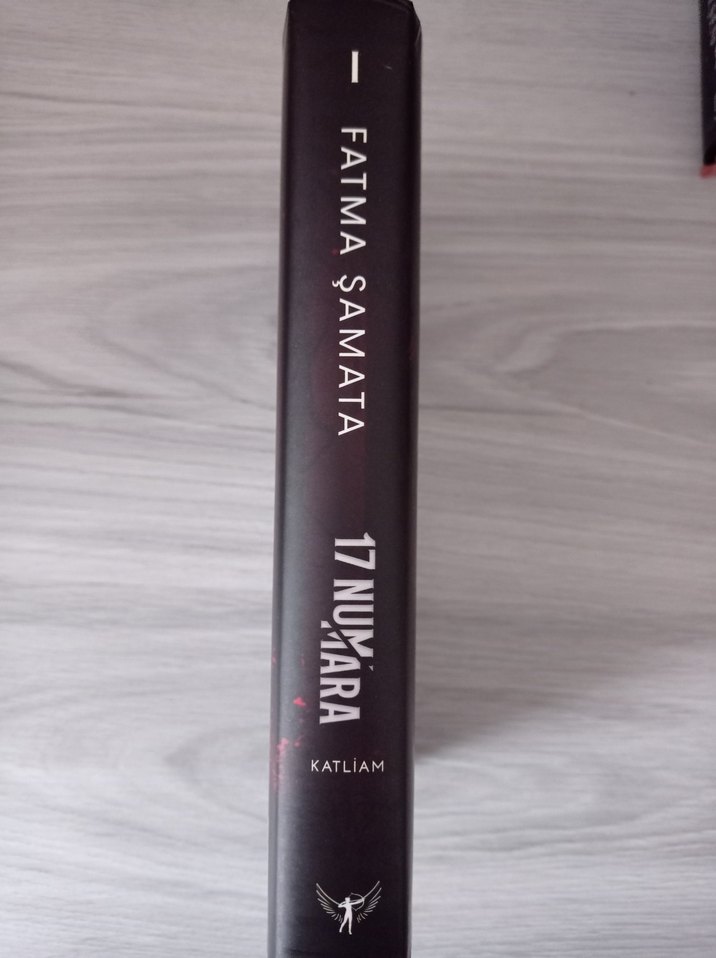 17 Numara Katliam - Fatma Samata - Görsel 2