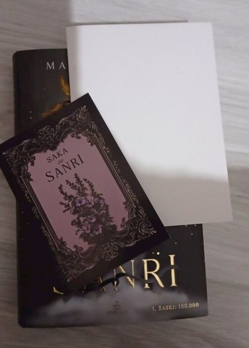 Maral Atmaca - Saka & Saari Roman - Görsel 3