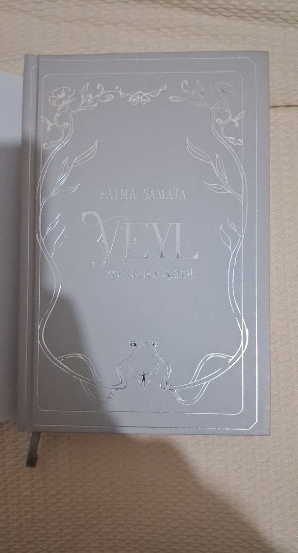 Veyl - Kötülerin Şehri Romanı - Görsel 3