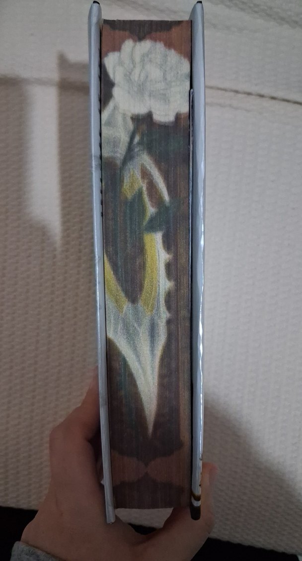 Medusa'nın ölü Kumları - Maral Atmaca - Görsel 2