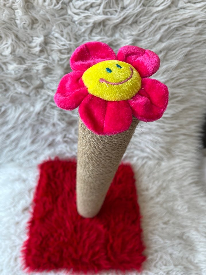 Kedi Tırmalama Tahtası - Görsel 2