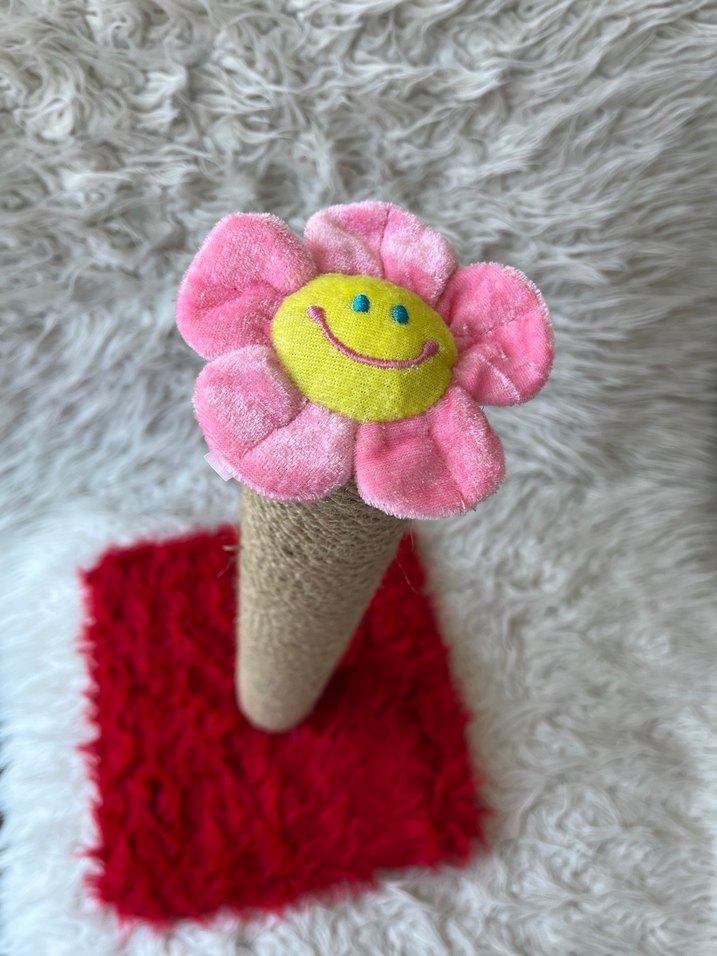 Kedi Tırmalama Tahtası - Görsel 3