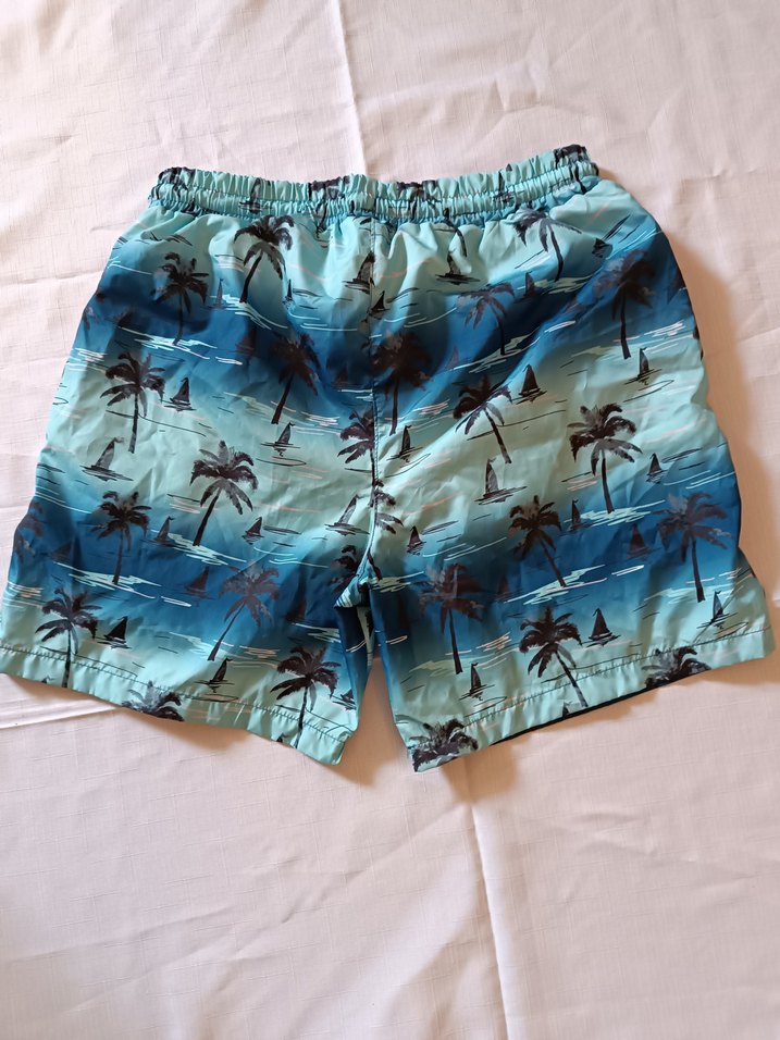 Renkli Mavi Erkek Mini Plaj Şortu - Görsel 2