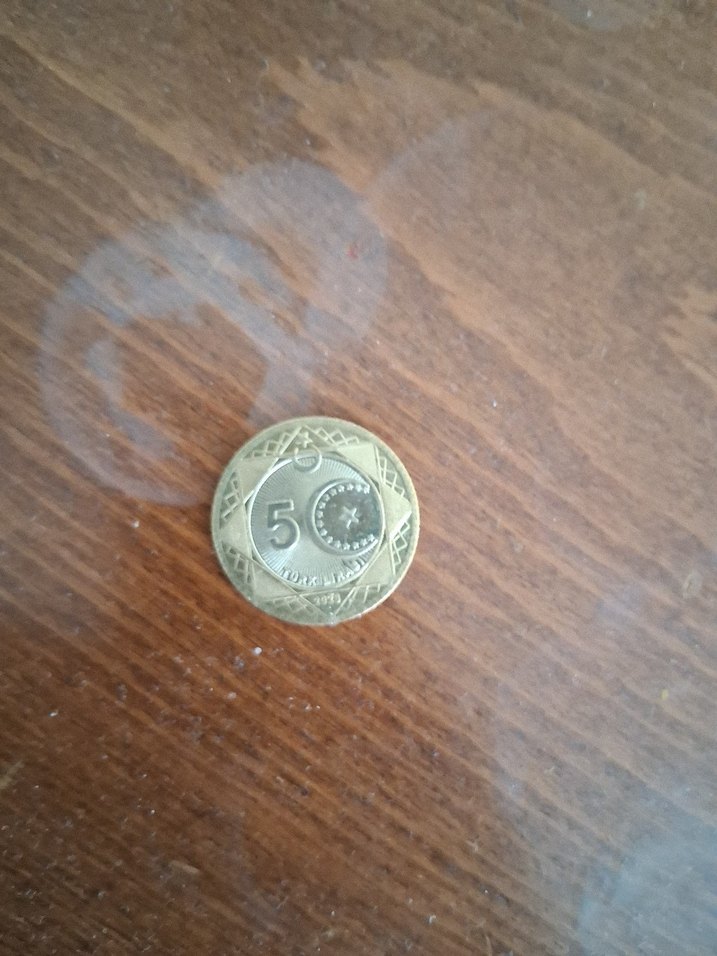 100.yüzyıl'a özel madeni demir 5 TL - Görsel 2