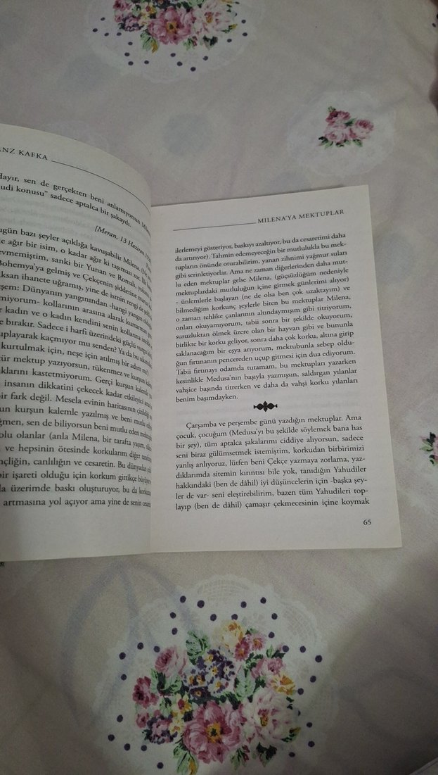 Milena'ya Mektuplar - Franz Kafka - Görsel 4