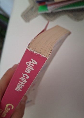 Canım Ailem Etkinlikleri - Çocuk Kitabı - Görsel 9