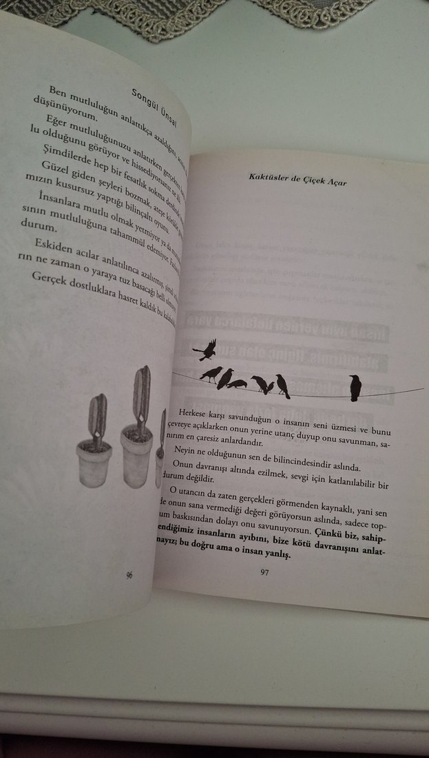 Kaktüsler de Çiçek Açar - Songül Ünsal - Görsel 3