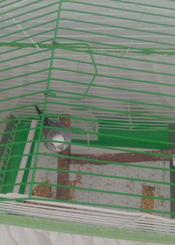 Nakışlı Yeşil Bohem Perde - Görsel 3