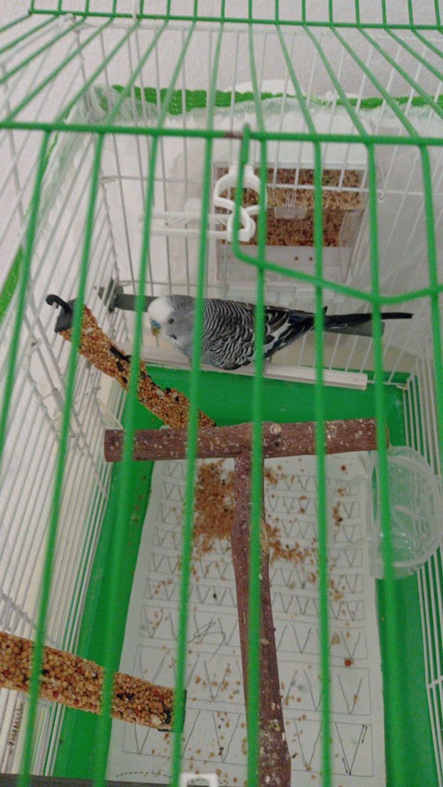 Nakışlı Yeşil Bohem Perde - Görsel 2