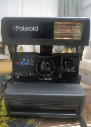 Polaroid