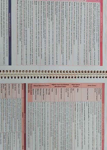 Eğitim Bilimleri - Görsel 8