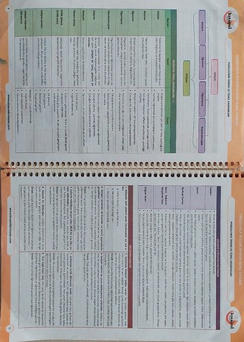 Eğitim Bilimleri - Görsel 3