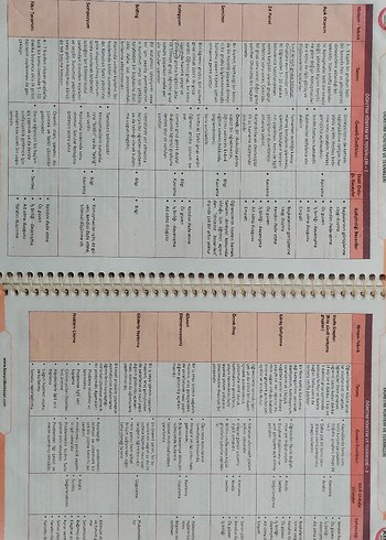 Eğitim Bilimleri - Görsel 6