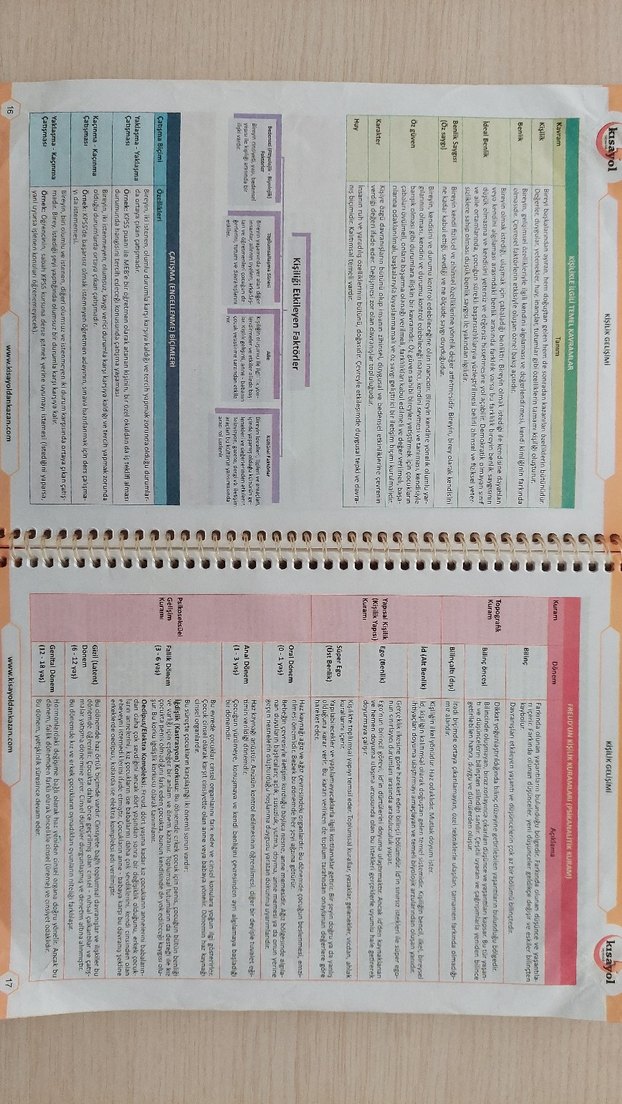 Eğitim Bilimleri - Görsel 5