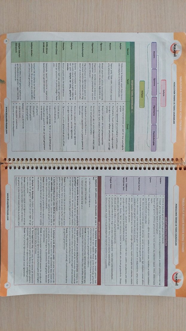 Eğitim Bilimleri - Görsel 3