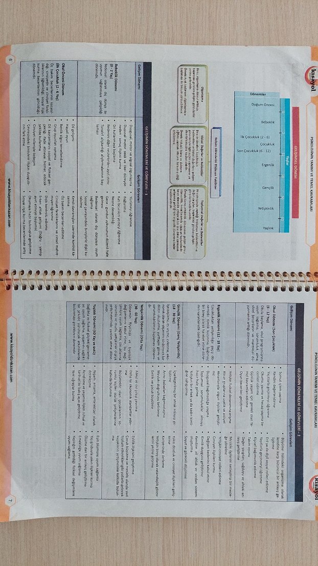 Eğitim Bilimleri - Görsel 4