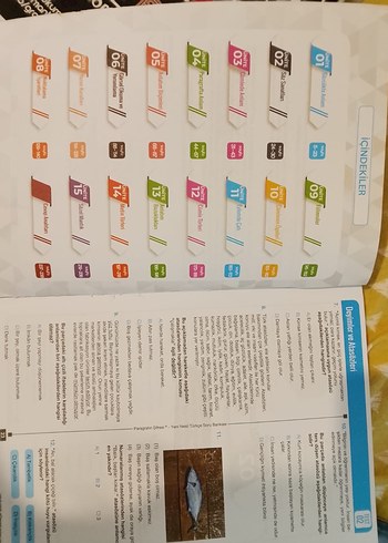 8. Sınıf Yeni Nesil Soru Bankası Seti - Görsel 8