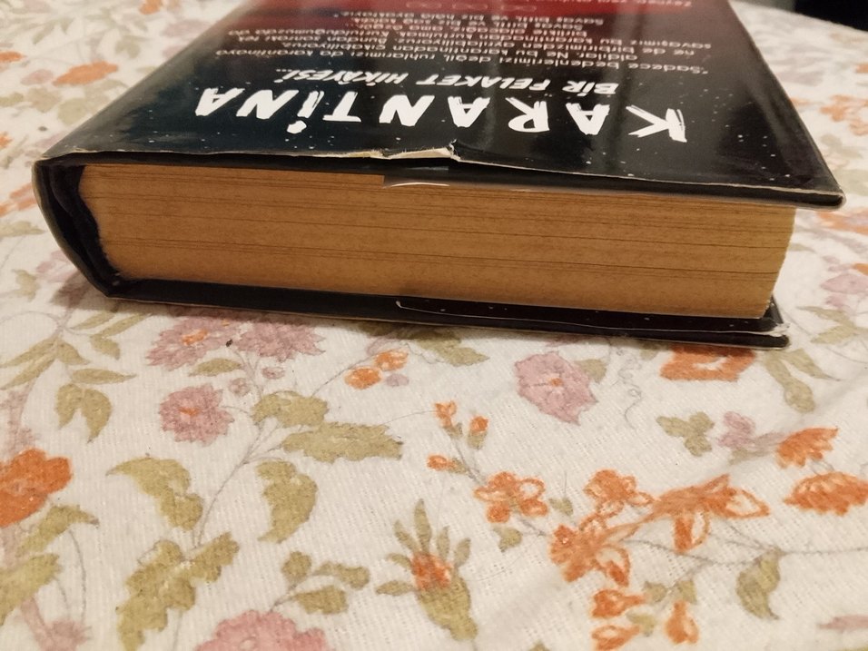 Karantina 1 Ciltli  - Beyza Alkoç - Görsel 2