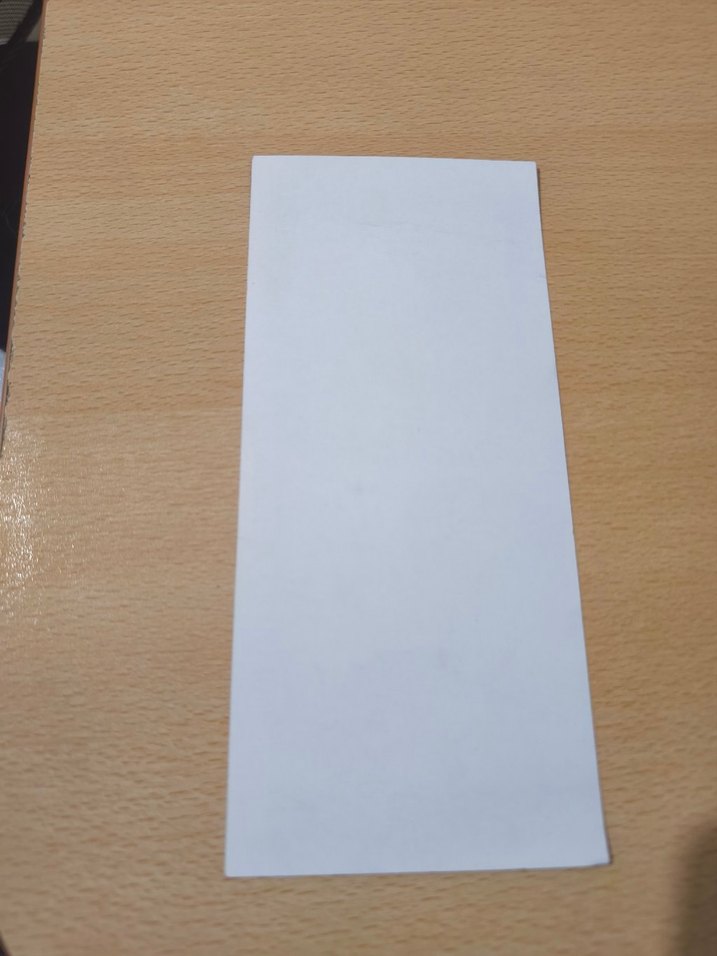 Hugo Chavez Poster - Görsel 2