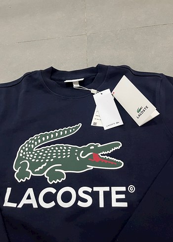 Lacoste lacivert büyük logo sweat - Görsel 2