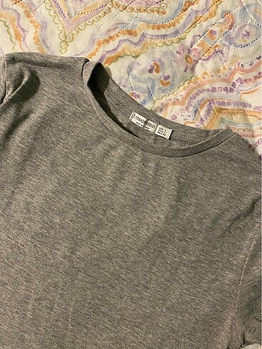 Stradivarius stradivarius crop