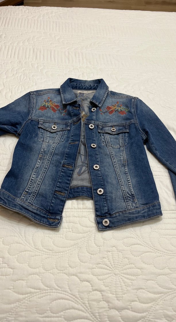 Nakışlı Mavi Kadın Denim Ceket - Görsel 2